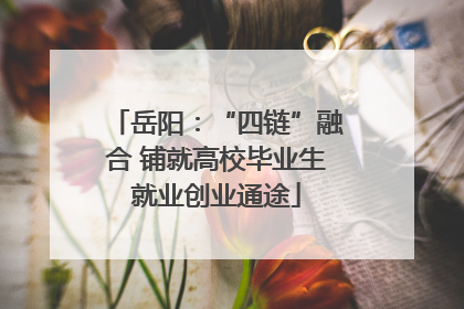 岳阳：“四链”融合 铺就高校毕业生就业创业通途