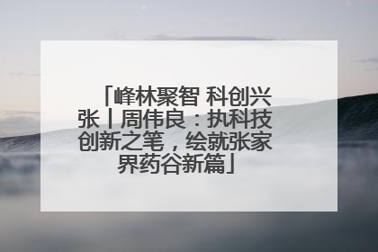 峰林聚智 科创兴张丨周伟良：执科技创新之笔，绘就张家界药谷新篇