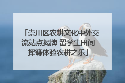 崇川区农耕文化中外交流站点揭牌 留学生田间挥镰体验农耕之乐