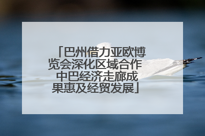 巴州借力亚欧博览会深化区域合作 中巴经济走廊成果惠及经贸发展