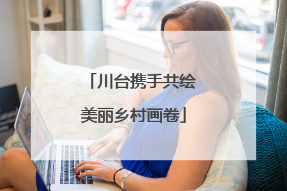 川台携手共绘美丽乡村画卷