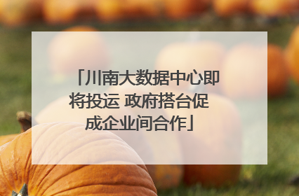 川南大数据中心即将投运 政府搭台促成企业间合作