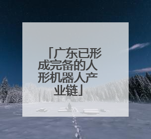 广东已形成完备的人形机器人产业链