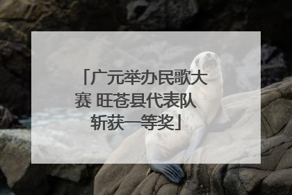 广元举办民歌大赛 旺苍县代表队斩获一等奖