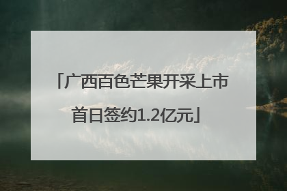 广西百色芒果开采上市 首日签约1.2亿元