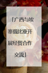 广西与埃塞俄比亚开展经贸合作交流