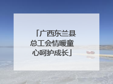 广西东兰县总工会情暖童心呵护成长