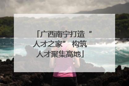 广西南宁打造“人才之家” 构筑人才聚集高地