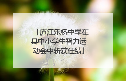 庐江乐桥中学在县中小学生智力运动会中斩获佳绩