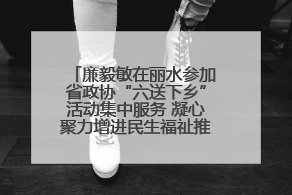 廉毅敏在丽水参加省政协“六送下乡”活动集中服务 凝心聚力增进民生福祉推进共同富裕