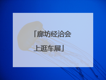 廊坊经洽会上逛车展
