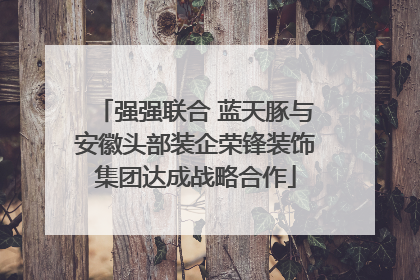 强强联合 蓝天豚与安徽头部装企荣锋装饰集团达成战略合作