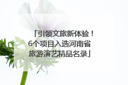 引领文旅新体验！6个项目入选河南省旅游演艺精品名录