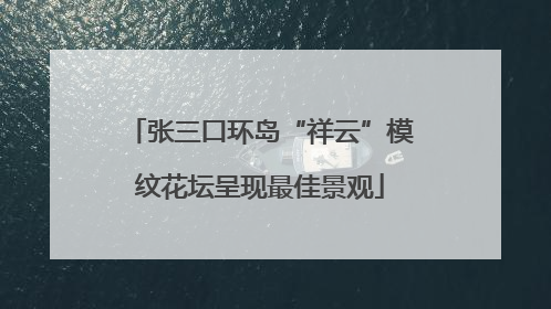 张三口环岛“祥云”模纹花坛呈现最佳景观