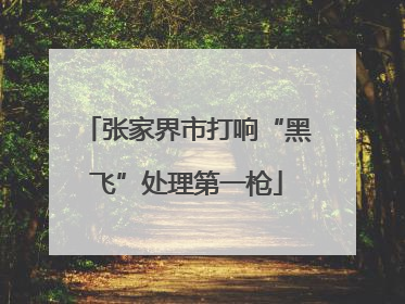 张家界市打响“黑飞”处理第一枪