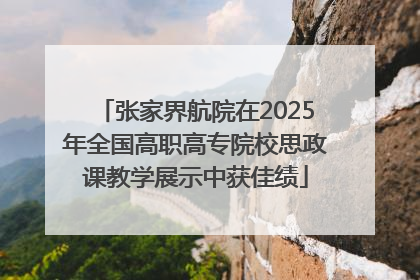 张家界航院在2025年全国高职高专院校思政课教学展示中获佳绩