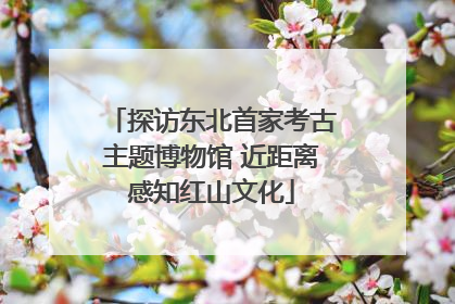 探访东北首家考古主题博物馆 近距离感知红山文化