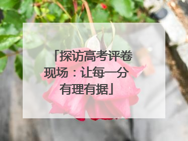 探访高考评卷现场：让每一分有理有据