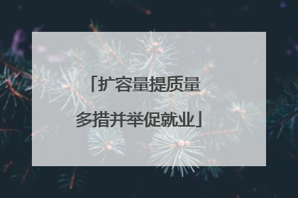 扩容量提质量 多措并举促就业