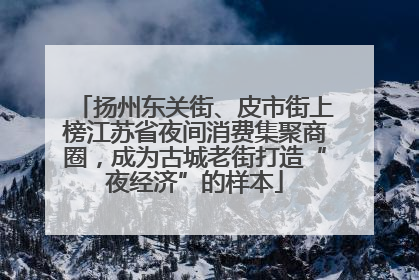 扬州东关街、皮市街上榜江苏省夜间消费集聚商圈，成为古城老街打造“夜经济”的样本
