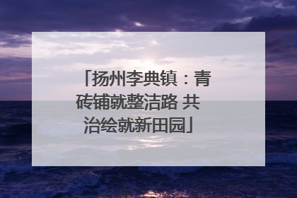 扬州李典镇：青砖铺就整洁路 共治绘就新田园