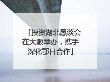 投资湖北恳谈会在大阪举办，携手深化鄂日合作
