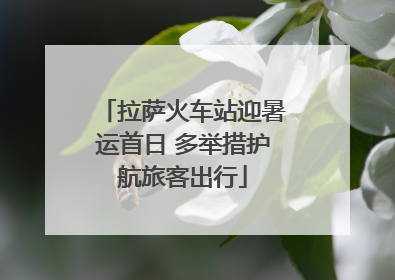 拉萨火车站迎暑运首日 多举措护航旅客出行