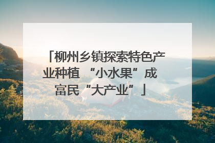柳州乡镇探索特色产业种植 “小水果”成富民“大产业”