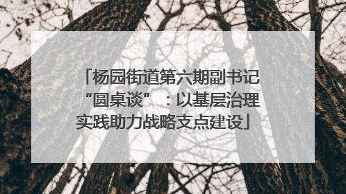 杨园街道第六期副书记“圆桌谈”：以基层治理实践助力战略支点建设
