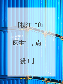 枝江“鱼医生”，点赞！