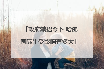 政府禁招令下 哈佛国际生受影响有多大