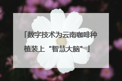 数字技术为云南咖啡种植装上“智慧大脑”