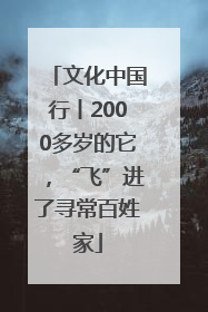 文化中国行丨2000多岁的它，“飞”进了寻常百姓家