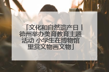 文化和自然遗产日丨德州举办美育教育主题活动 小学生在博物馆里赏文物画文物