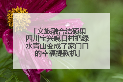 文旅融合结硕果 四川宝兴嘎日村把绿水青山变成了家门口的幸福提款机