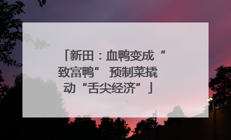 新田：血鸭变成“致富鸭” 预制菜撬动“舌尖经济”