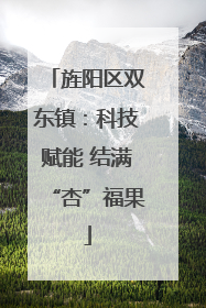 旌阳区双东镇：科技赋能 结满“杏”福果