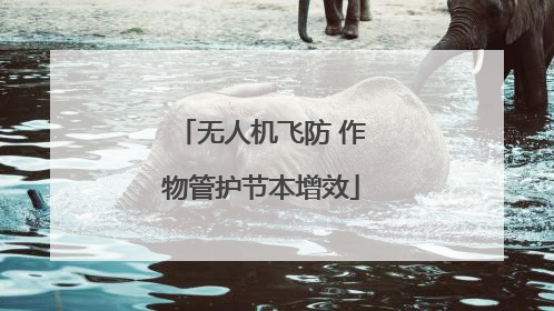 无人机飞防 作物管护节本增效