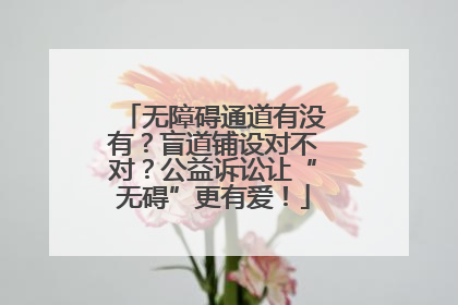 无障碍通道有没有？盲道铺设对不对？公益诉讼让“无碍”更有爱！