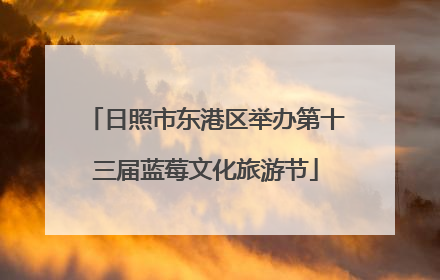 日照市东港区举办第十三届蓝莓文化旅游节