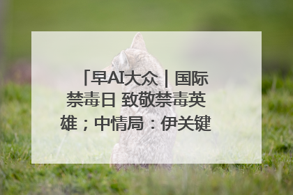 早AI大众｜国际禁毒日 致敬禁毒英雄；中情局：伊关键核设施被摧毁