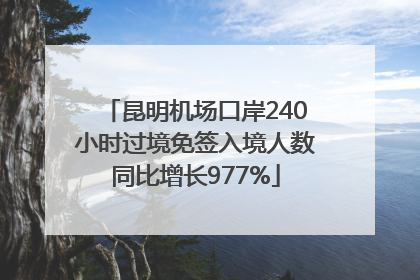 昆明机场口岸240小时过境免签入境人数同比增长977%