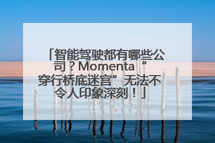 智能驾驶都有哪些公司？Momenta“穿行桥底迷宫”无法不令人印象深刻！