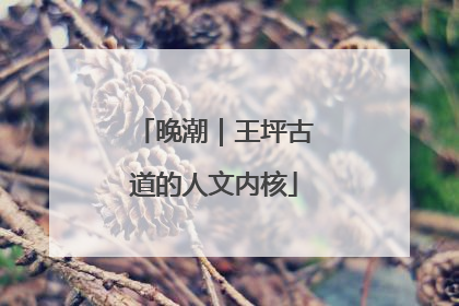 晚潮｜王坪古道的人文内核