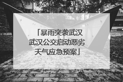 暴雨突袭武汉 武汉公交启动恶劣天气应急预案