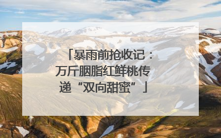 暴雨前抢收记：万斤胭脂红鲜桃传递“双向甜蜜”