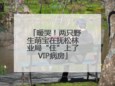 暖哭！两只野生萌宝在抚松林业局“住”上了VIP病房