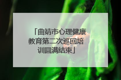 曲靖市心理健康教育第二次巡回培训圆满结束