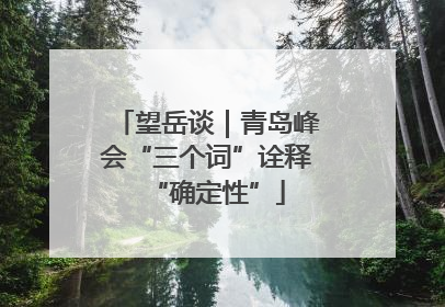望岳谈｜青岛峰会“三个词”诠释“确定性”