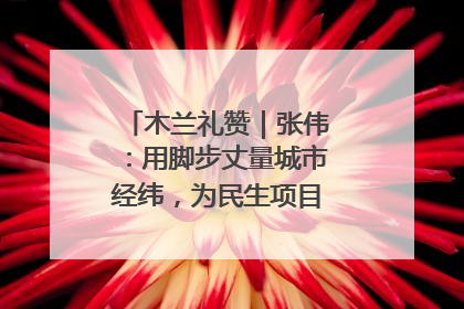 木兰礼赞｜张伟：用脚步丈量城市经纬，为民生项目按下“加速键”